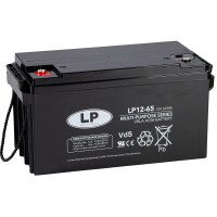 Bleiakku LP12-65 T6 VDS - 12V - 65AH