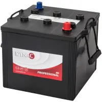 DYNAC Professional HD 60013 - 12V - 100AH -