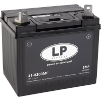 LP Batterie L&G U1-R300 Ca/Ca SMF - 12V -